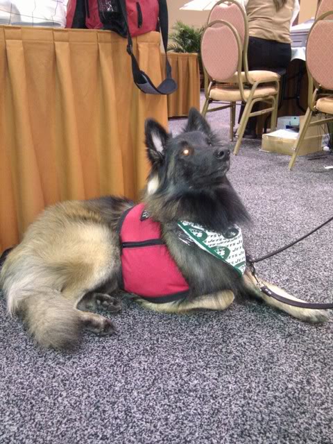 Coolest Dog at 2011 NAVC