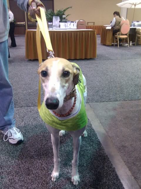Greyhound-Dog-rescue-at-the-VetHubs-booth