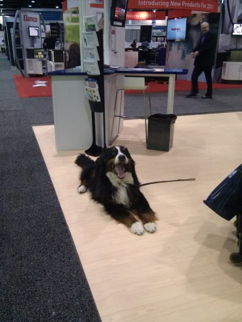 NAVC-2011-Best-dog-of-the-conference